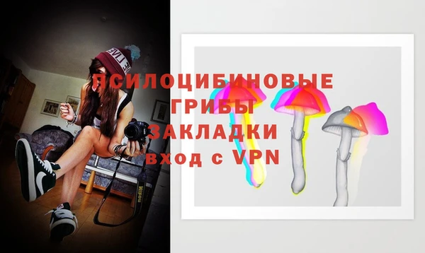 соль курить ск Богданович