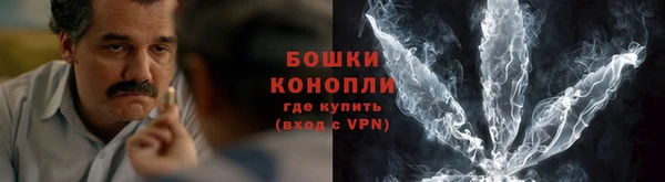 сатива Богородицк