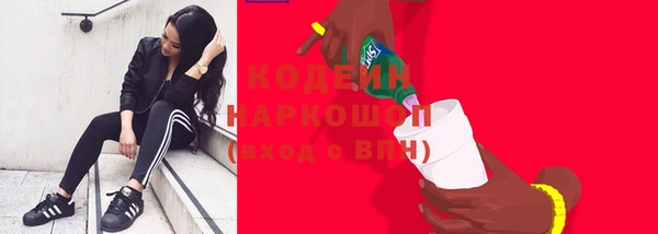 сатива Богородицк