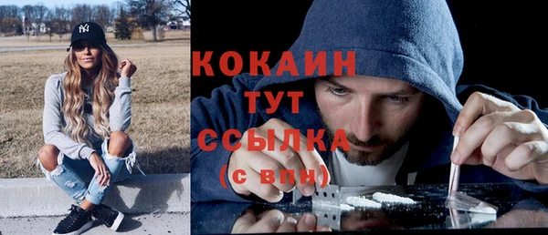 spice Богородск