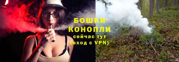 сатива Богородицк