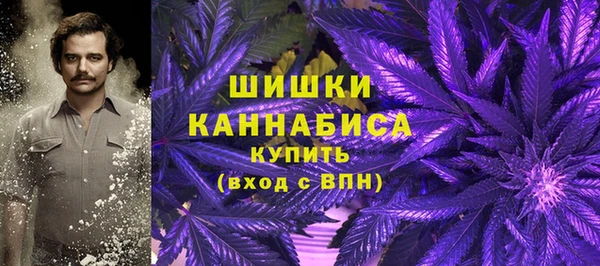 соль курить ск Богданович